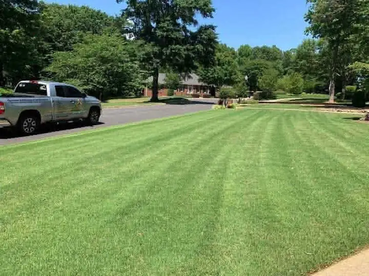 Lawn Mowing