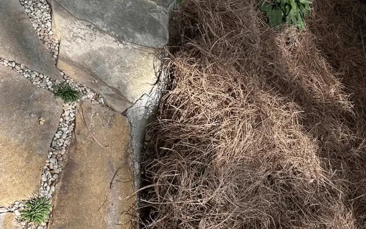 Pine Straw Installation